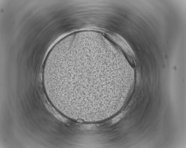 X0000085761292200704131728