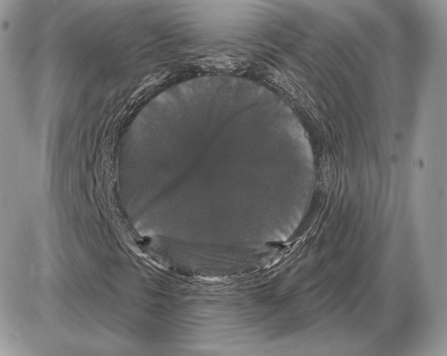 X0000085761297200704131727