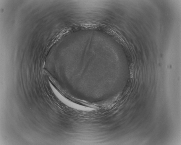 X0000085761298200704131727