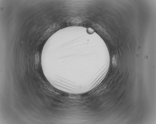 X0000085761299200704131727