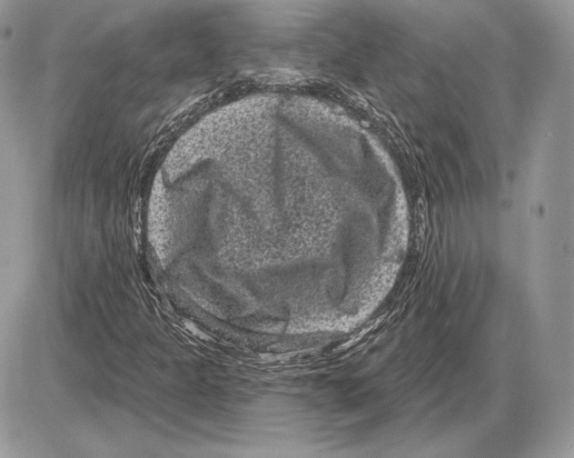 X0000085761301200704131727
