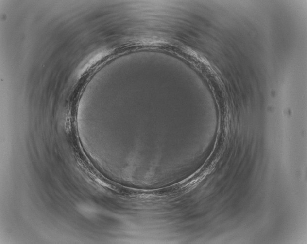 X0000085761306200704131727