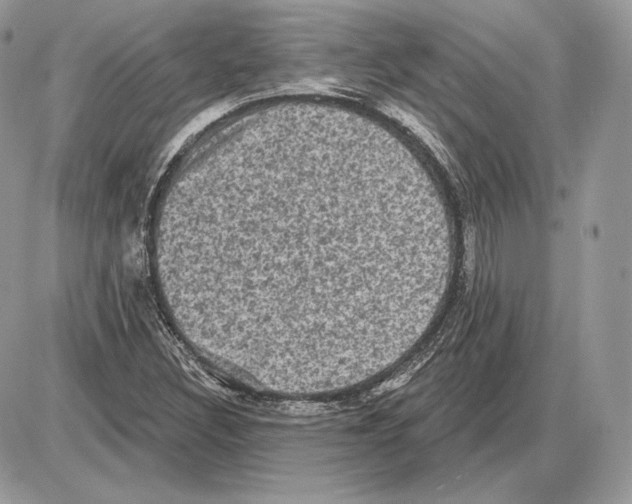 X0000085761308200704131727