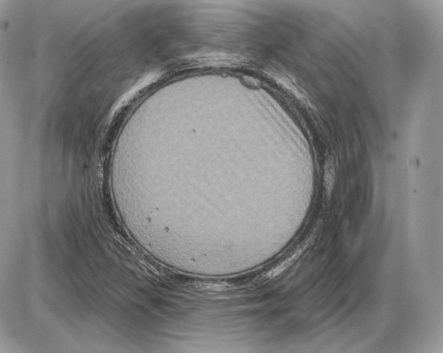 X0000085761309200704131727