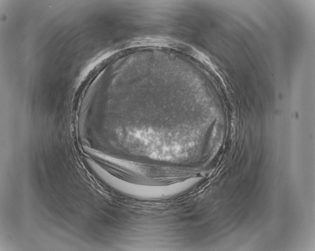 X0000085761312200704131727