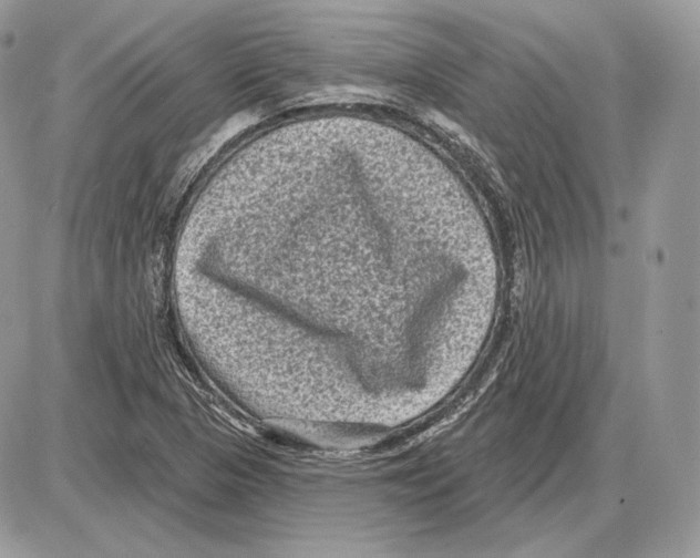 X0000085761313200704131727