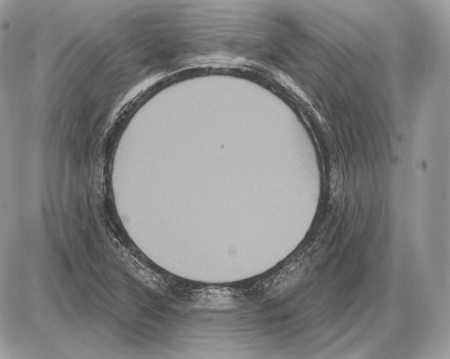 X0000085761315200704131727