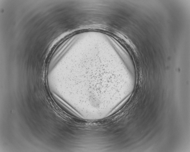 X0000085761316200704131728