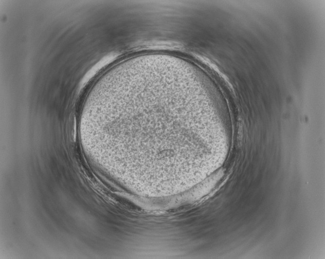 X0000085761317200704131728