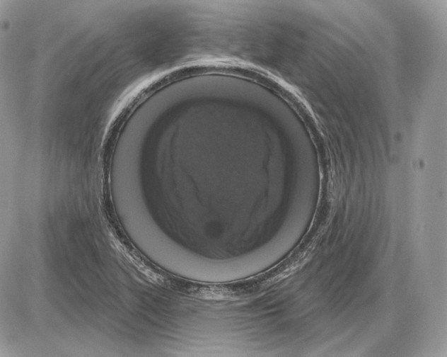 X0000085761319200704131728