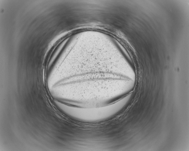 X0000085761320200704131728