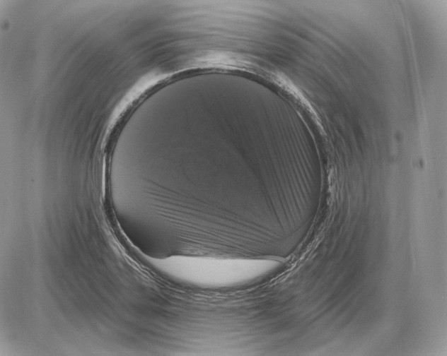 X0000085761323200704131728