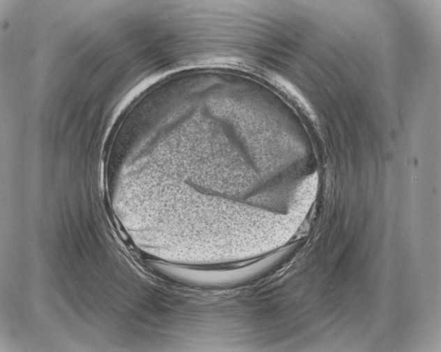 X0000085761324200704131728
