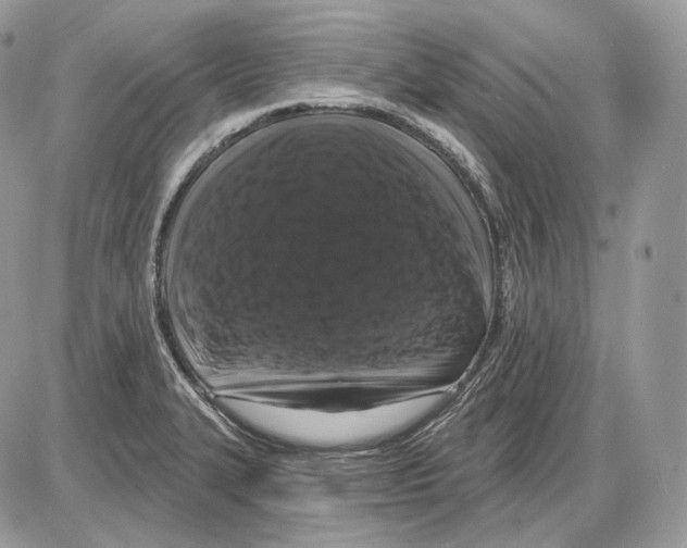 X0000085761327200704131728