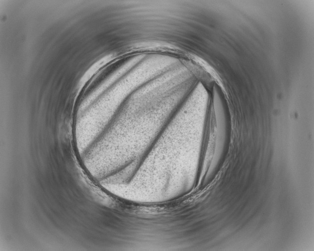 X0000085761330200704131728