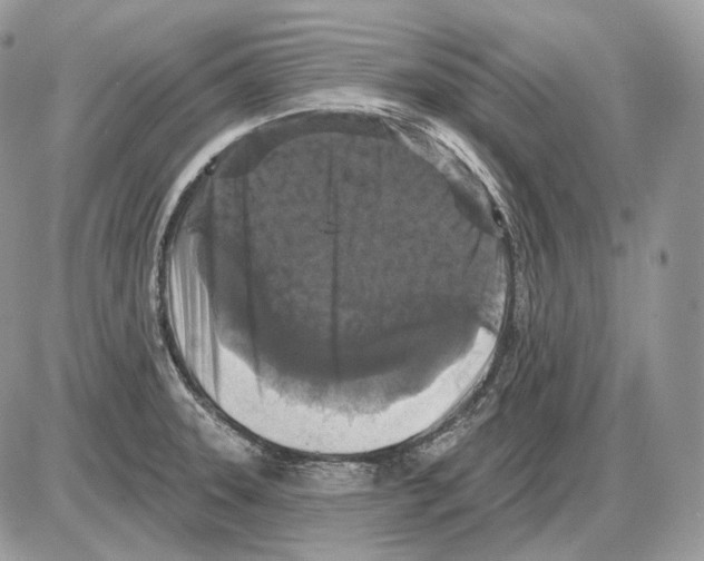 X0000085761331200704131728
