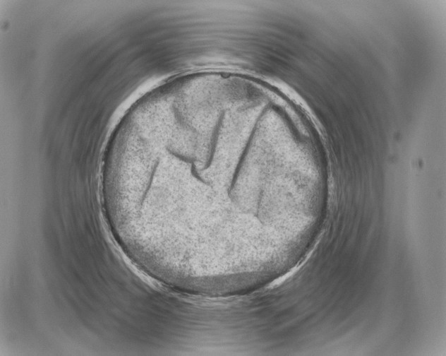 X0000085761333200704131728
