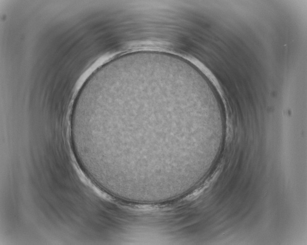X0000085761341200704131728