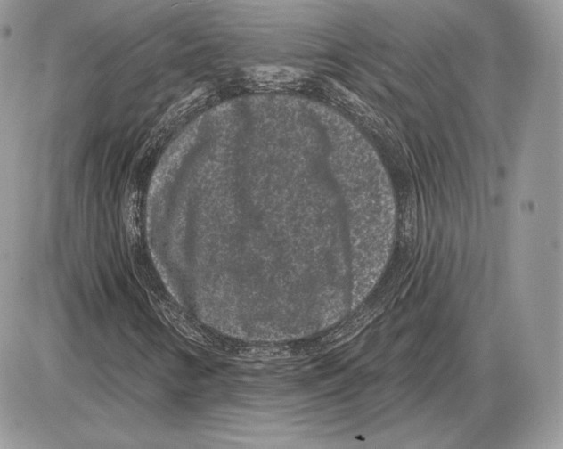 X0000085761346200704131727