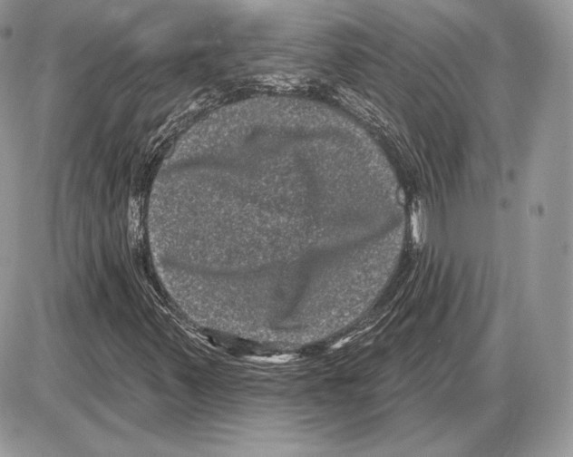 X0000085761347200704131727