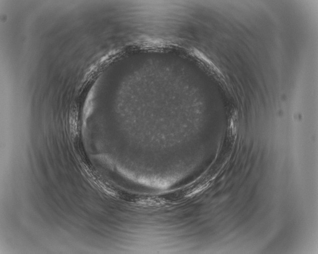 X0000085761348200704131727
