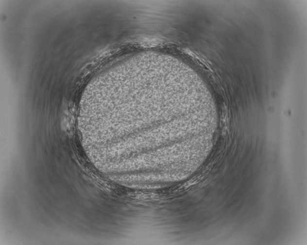 X0000085761349200704131727