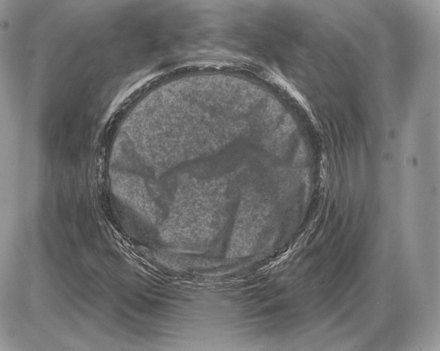 X0000085761352200704131727