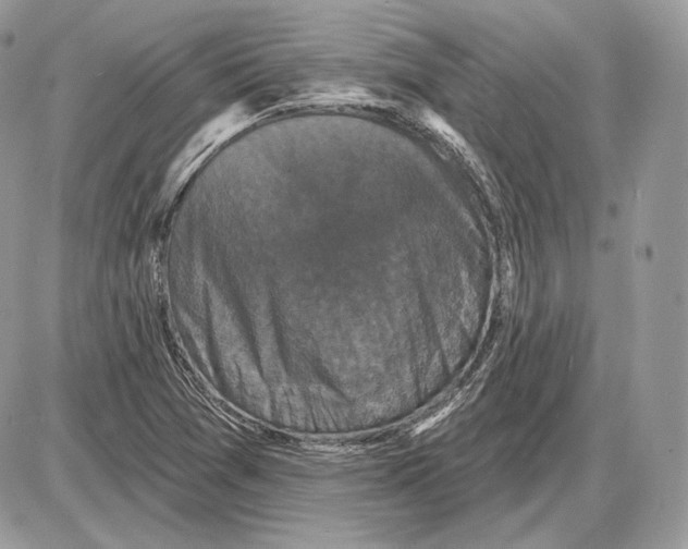 X0000085761361200704131727