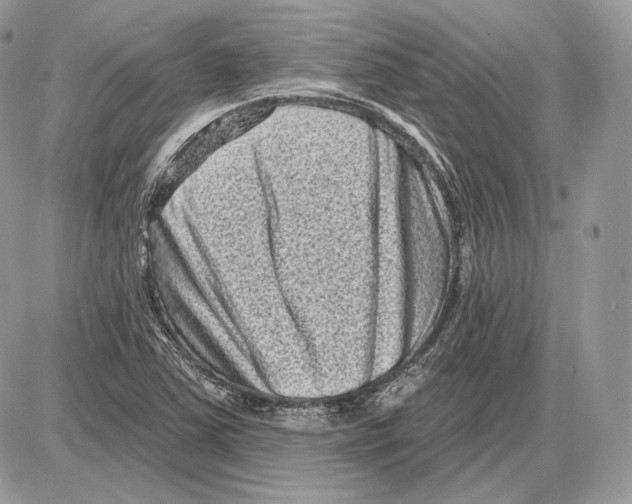 X0000085761363200704131727