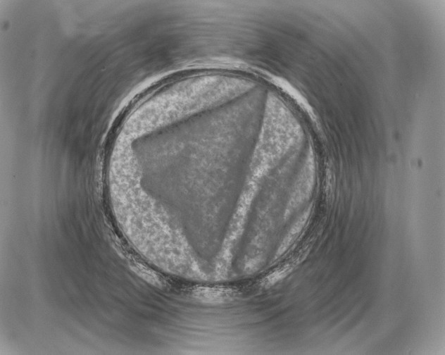 X0000085761364200704131727