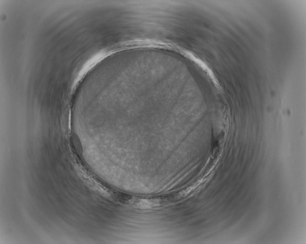 X0000085761365200704131727