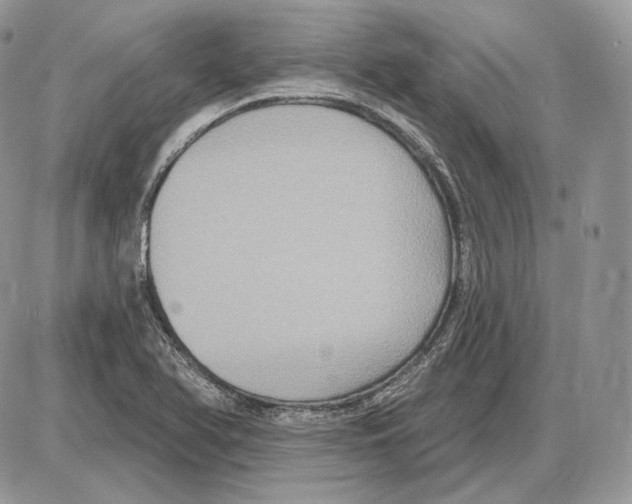 X0000085761366200704131727