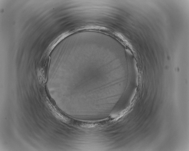 X0000085761369200704131727