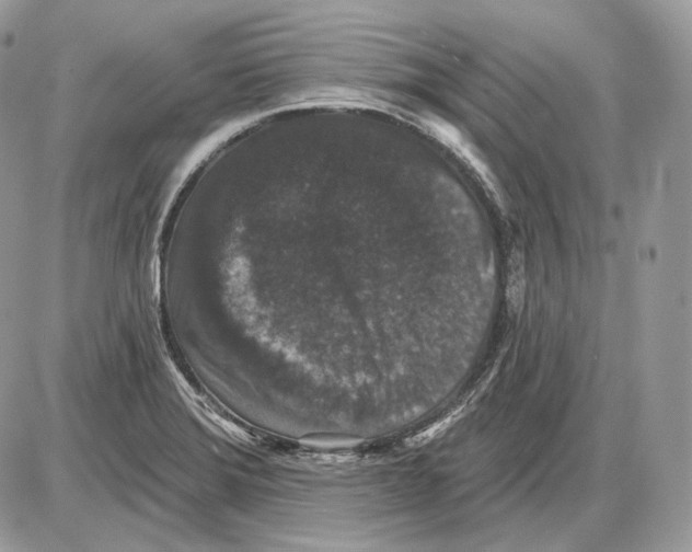X0000085761372200704131727