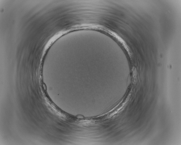 X0000085761373200704131727