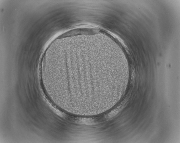 X0000085761375200704131727