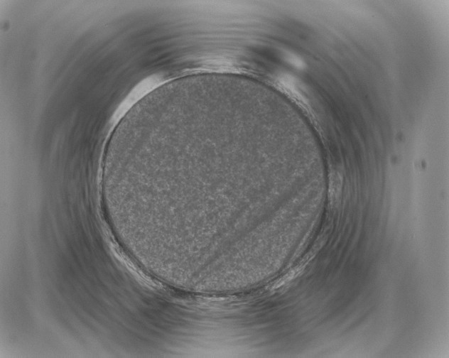 X0000085761378200704131727