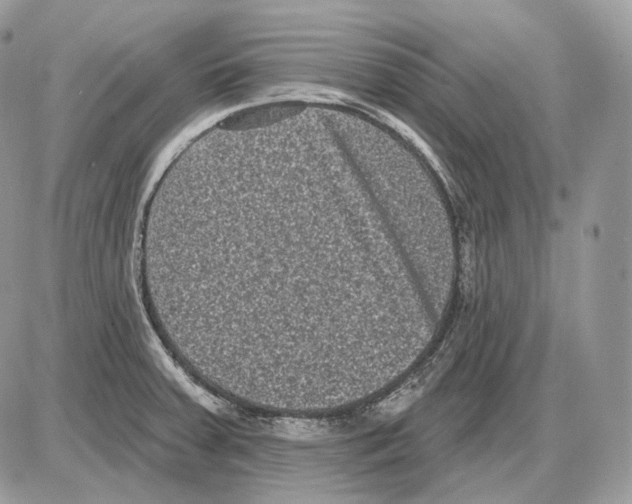 X0000085761379200704131727