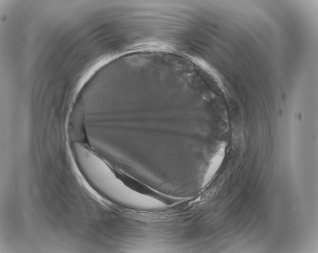 X0000085761383200704131726