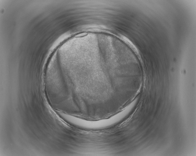 X0000085761384200704131726