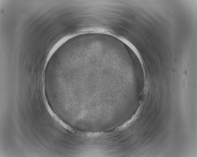 X0000085761389200704131726