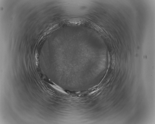 X0000085761394200704131726