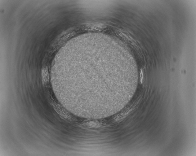 X0000085761395200704131726