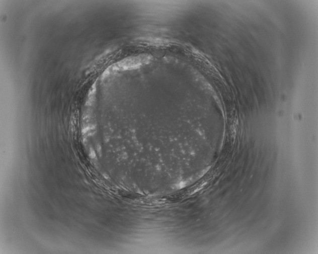 X0000085761397200704131726