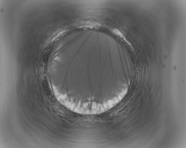 X0000085761399200704131726