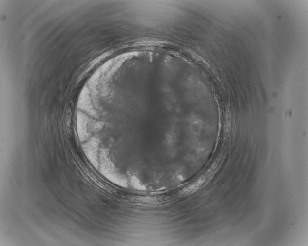 X0000085761401200704131726