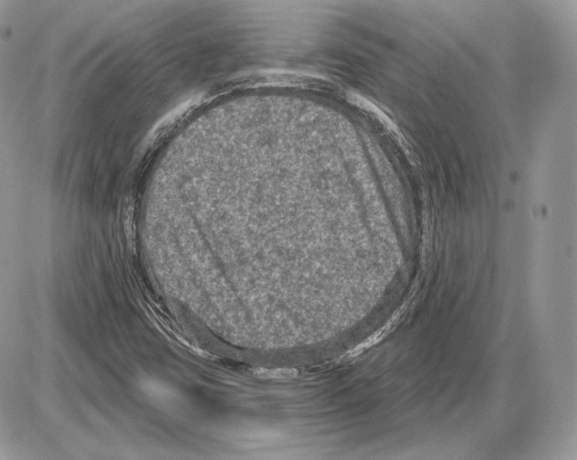 X0000085761403200704131726