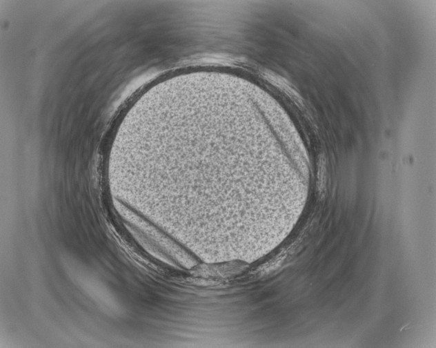 X0000085761404200704131726
