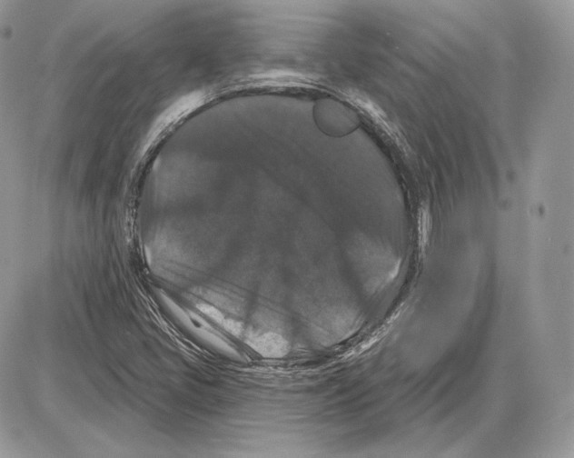 X0000085761405200704131726