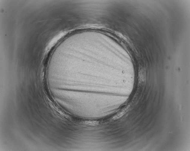 X0000085761406200704131726
